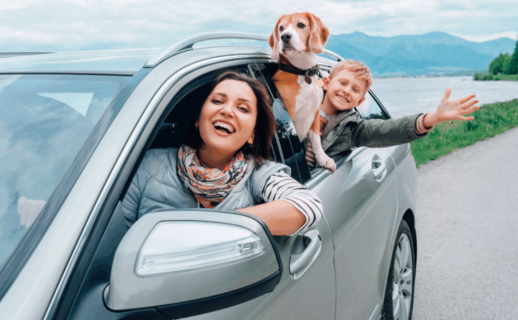 auto_insurance_referrals